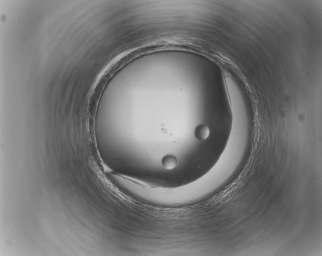 X0000052540784200507291849