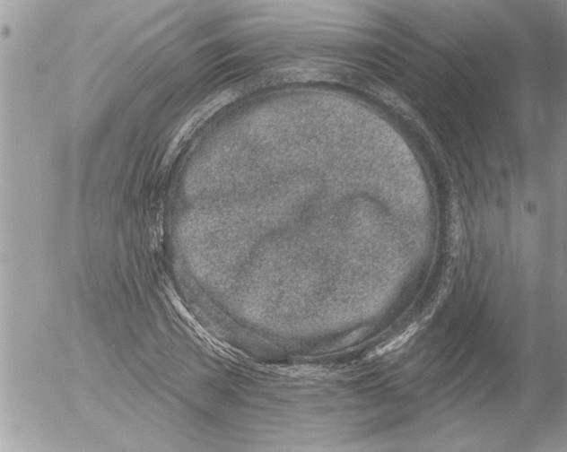 X0000052540785200507291849