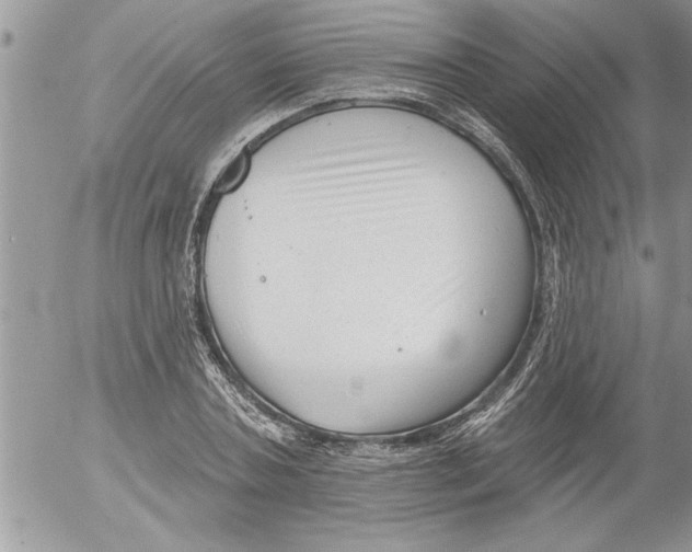 X0000052540787200507291849