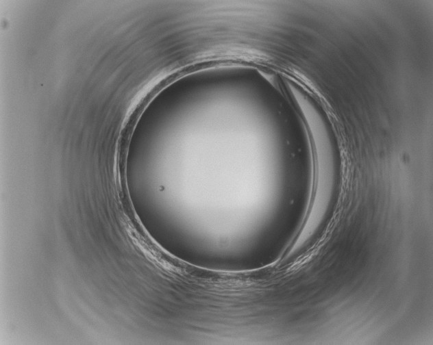 X0000052540788200507291849