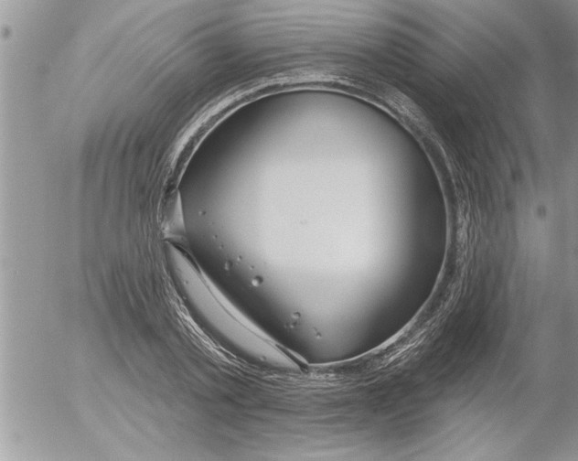 X0000052540789200507291849