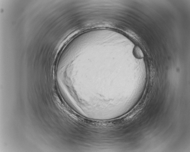 X0000052540790200507291849