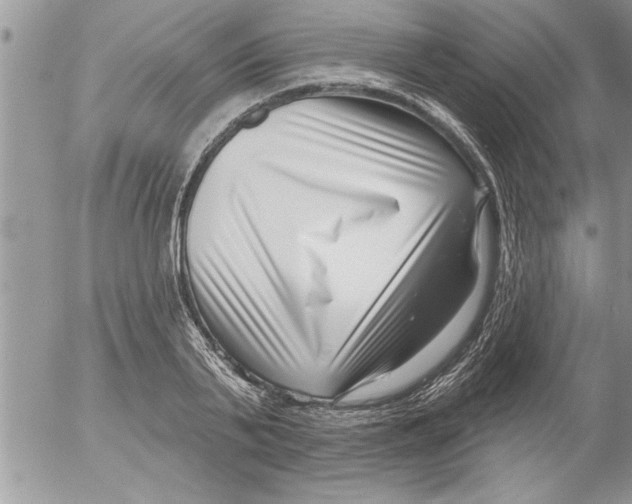 X0000052540791200507291849