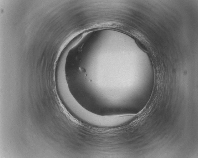 X0000052540792200507291849