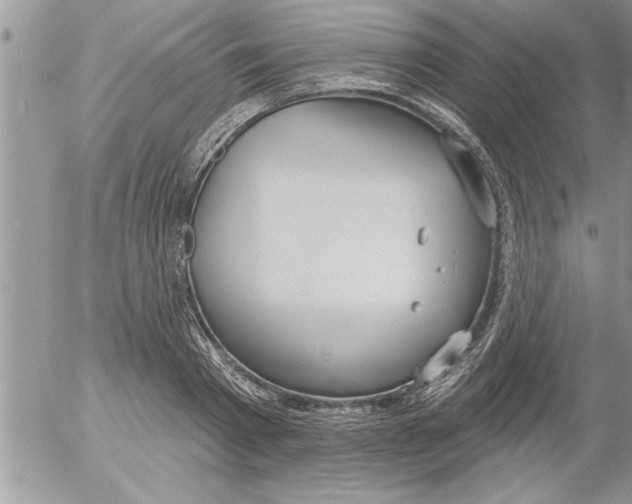 X0000052540793200507291849