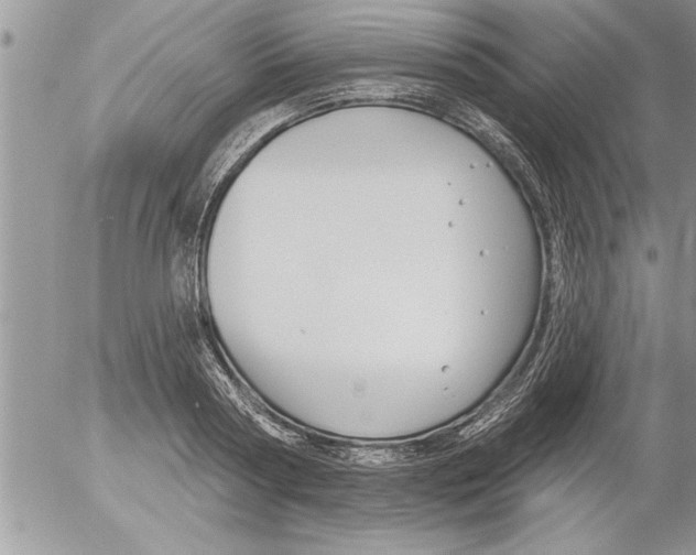 X0000052540794200507291849