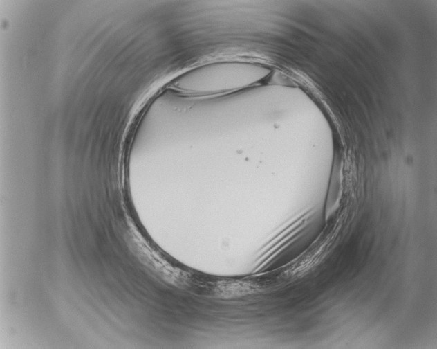 X0000052540795200507291849