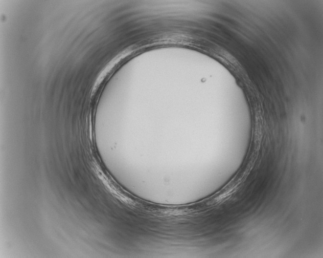 X0000052540796200507291849