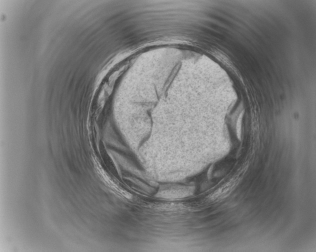 X0000052540797200507291849