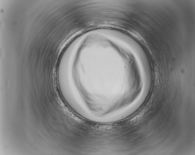 X0000052540798200507291849