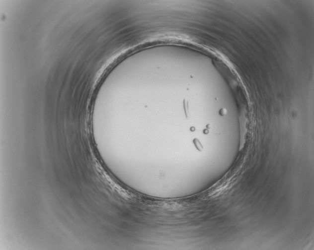 X0000052540799200507291849