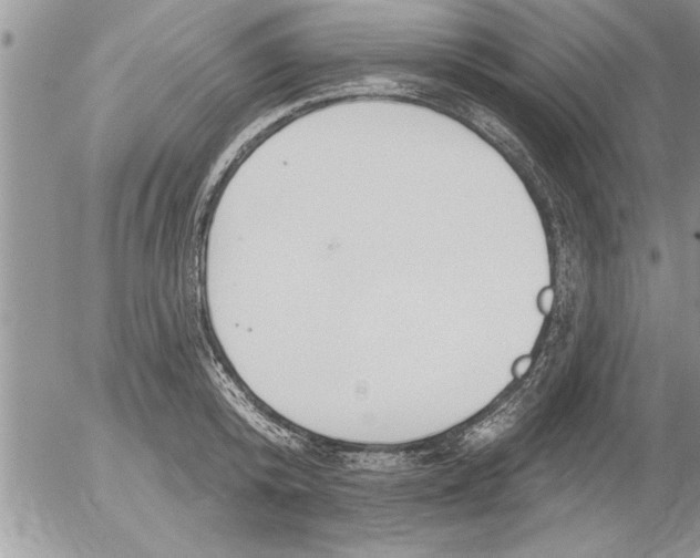 X0000052540800200507291849