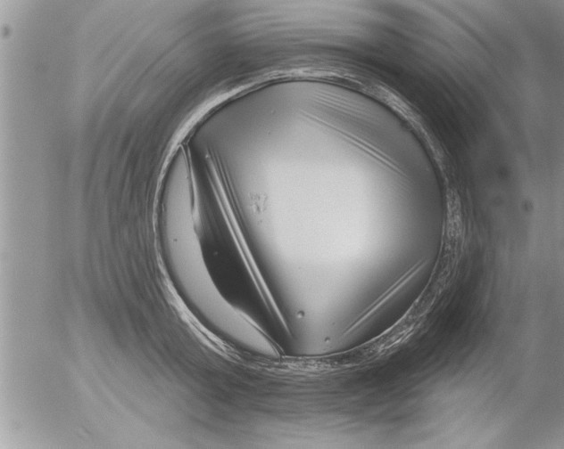 X0000052540803200507291849