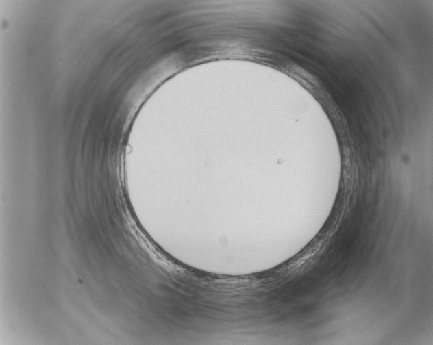 X0000052540804200507291849