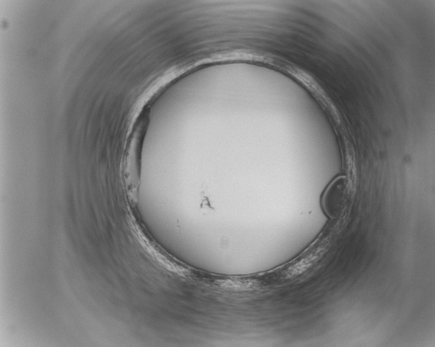 X0000052540805200507291849