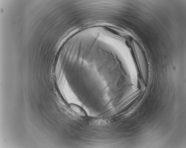 X0000052540806200507291849