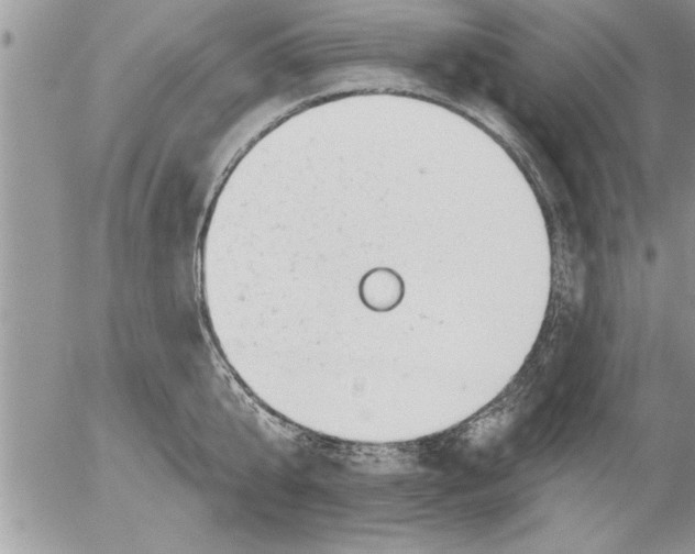 X0000052540807200507291849