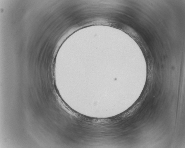 X0000052540808200507291849