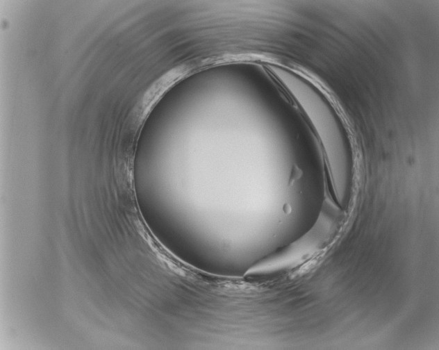 X0000052540809200507291849