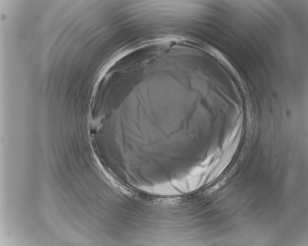 X0000052540810200507291849