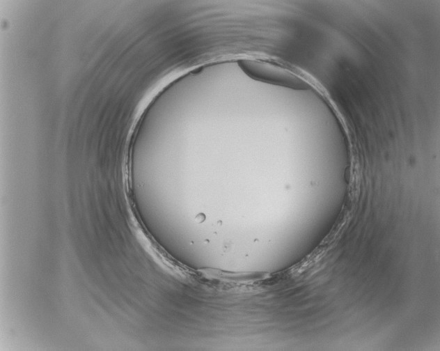 X0000052540811200507291849