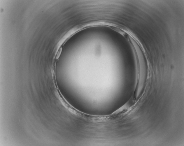 X0000052540813200507291849