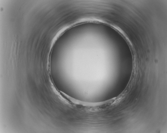 X0000052540815200507291849