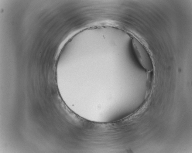 X0000052540816200507291849