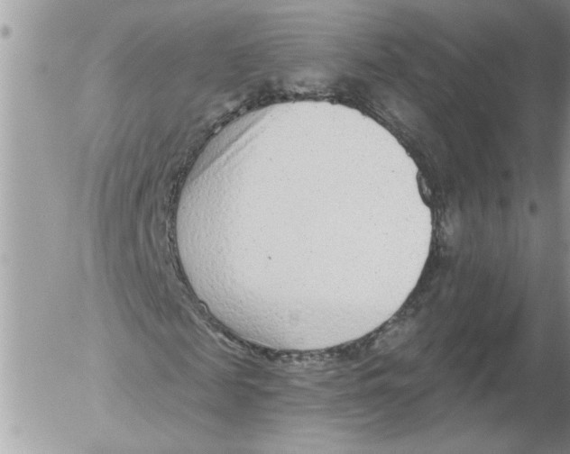 X0000052540817200507291848