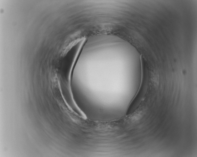 X0000052540818200507291848