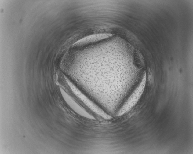 X0000052540819200507291848