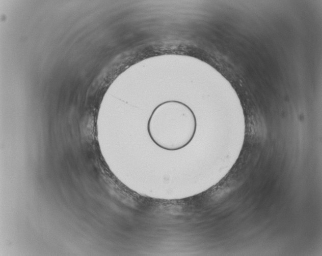 X0000052540820200507291848