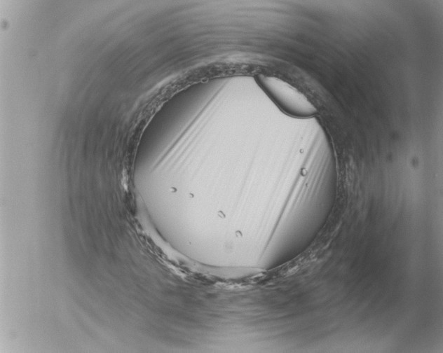 X0000052540821200507291848