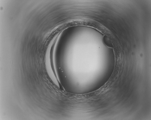 X0000052540822200507291848