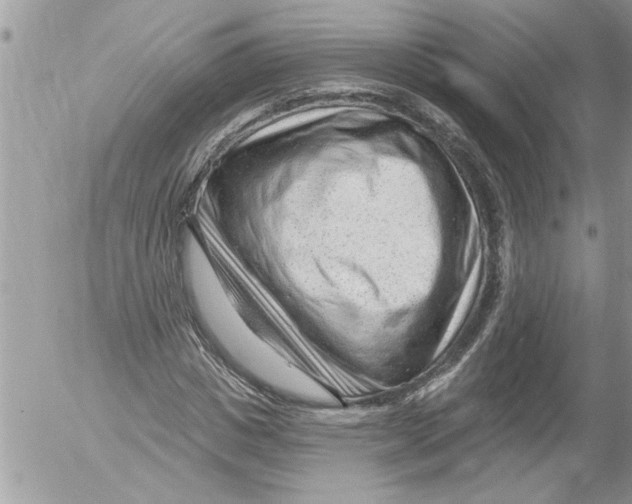 X0000052540825200507291848