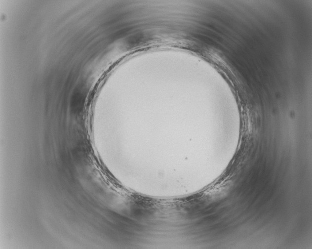 X0000052540828200507291848