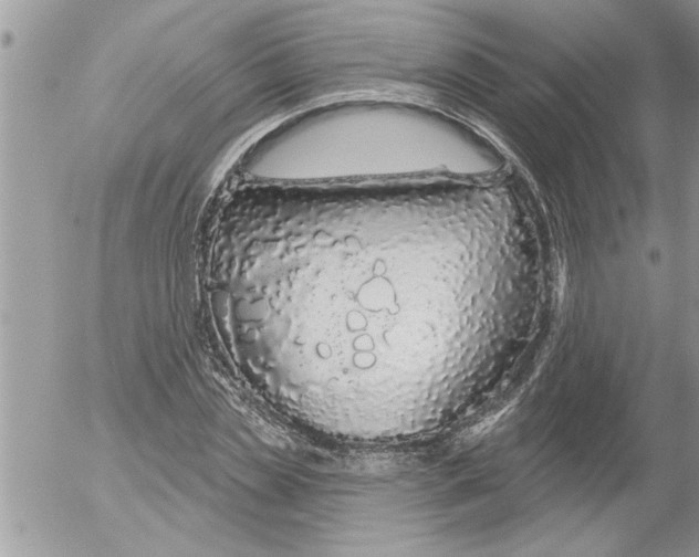 X0000052540829200507291848