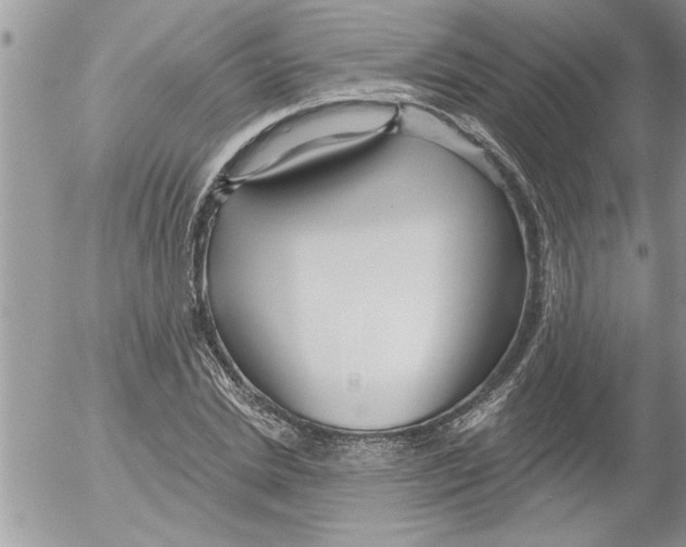 X0000052540830200507291848