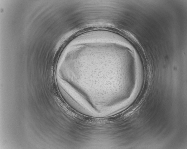 X0000052540831200507291848