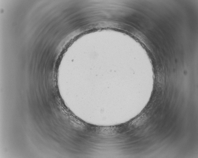 X0000052540832200507291848