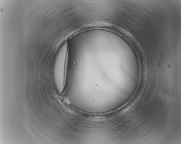 X0000052540833200507291848