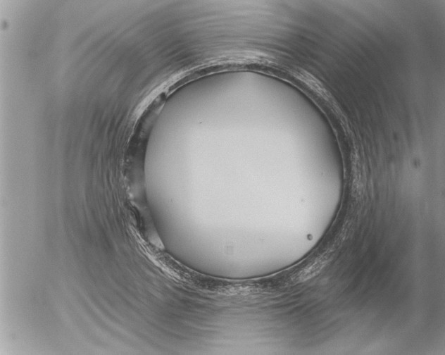 X0000052540834200507291848