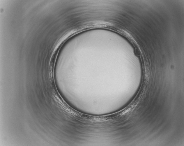 X0000052540835200507291848