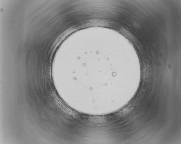 X0000052540836200507291848