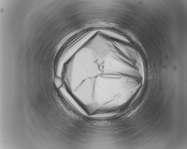 X0000052540837200507291848