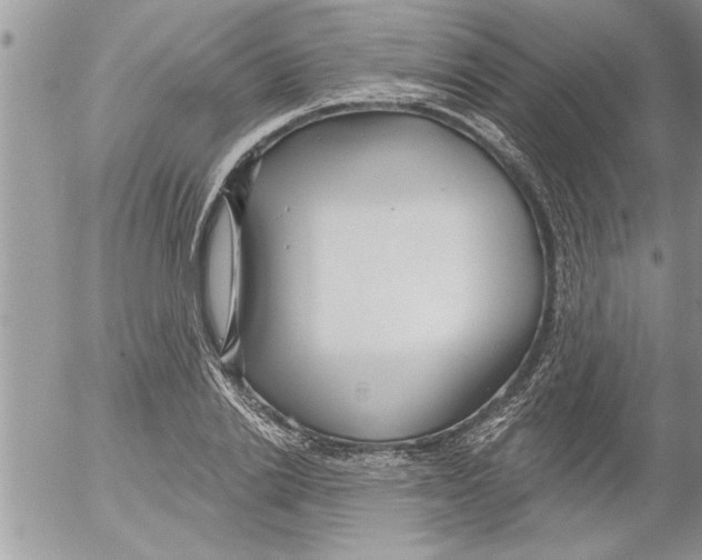 X0000052540838200507291848