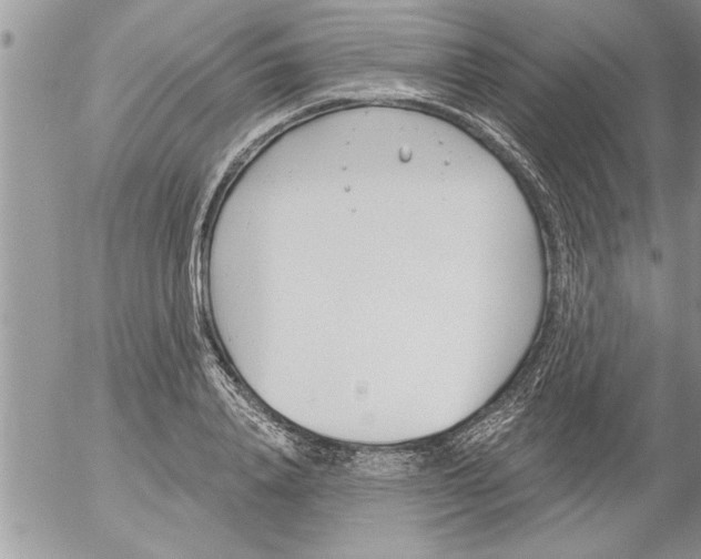 X0000052540840200507291848