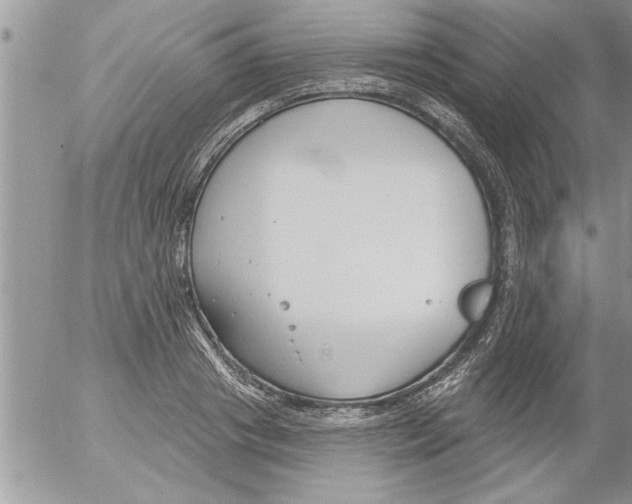 X0000052540841200507291848