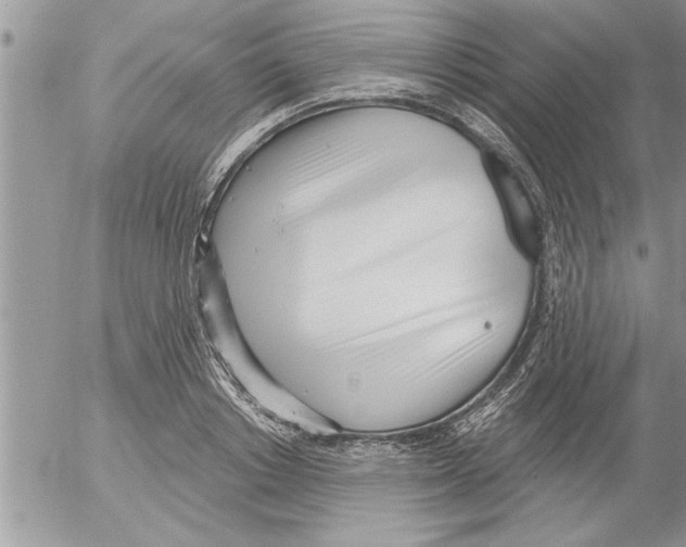 X0000052540842200507291848