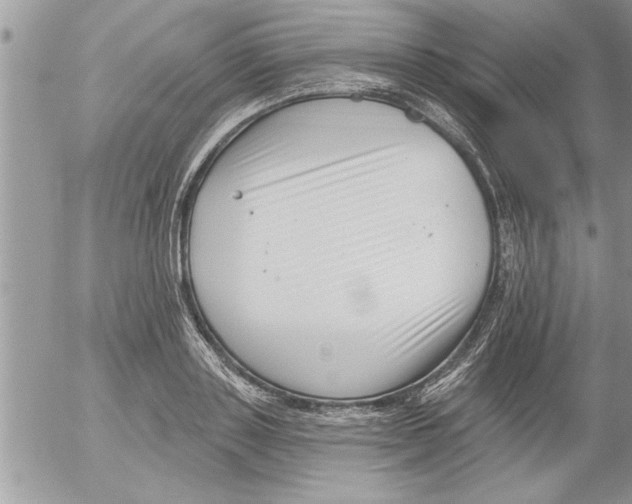 X0000052540843200507291848